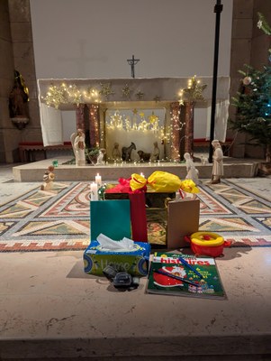 PXL 20241219 081050825