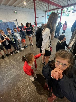 PHOTO 2024 05 24 13 39 28 4