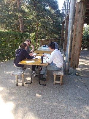 9772cbd7 404f 4813 bf79 76498eea4c59