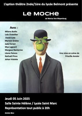 affiche le Moche (1)